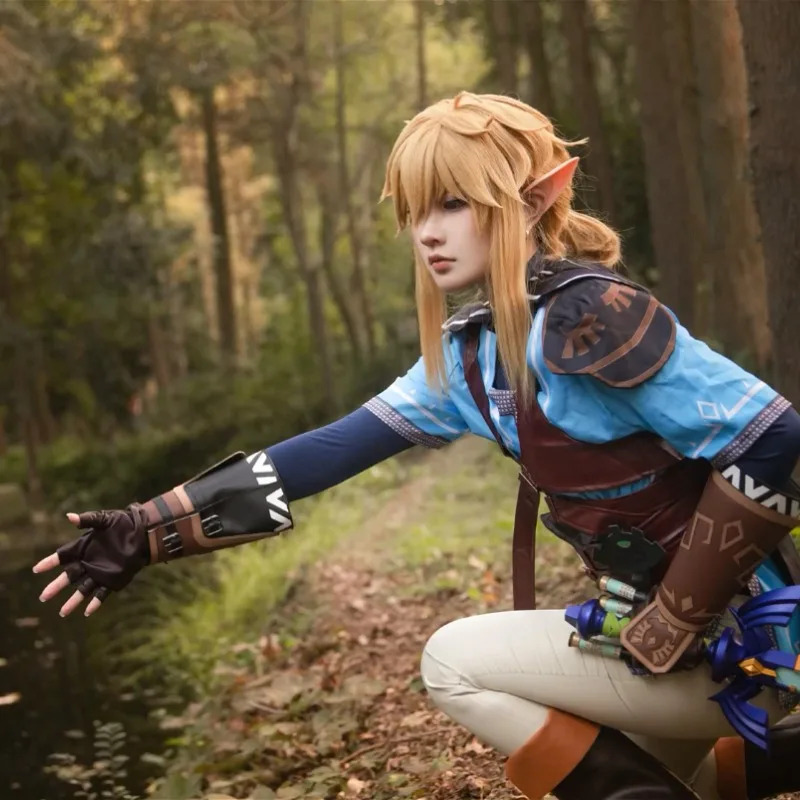 Game Zelda Breath of The Wild  - Zelda Party Games 评论和价格