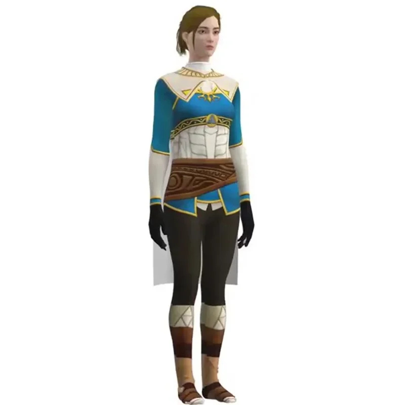 2025 aaa Anime Heroes Linke Ch - Zelda Party Games 评论和价格